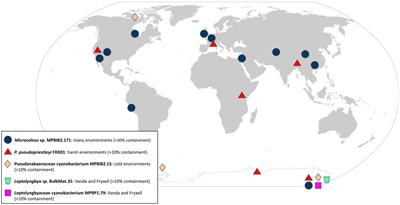 Biogeographic distribution of five Antarctic cyanobacteria using large-scale k-mer searching with sourmash branchwater